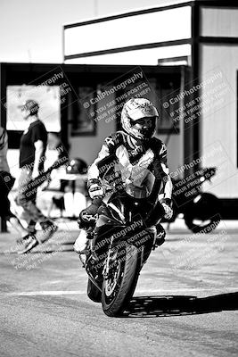 media/Mar-25-2024-Moto Forza (Mon) [[8d4319bd68]]/1-Around the Pits/